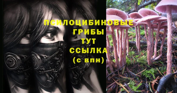 шишки Бугульма