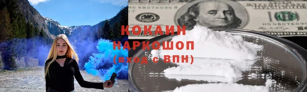 mdpv Бородино