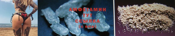 mdpv Бородино