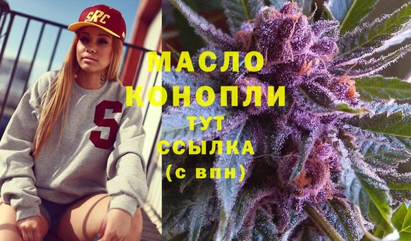 mdpv Бородино