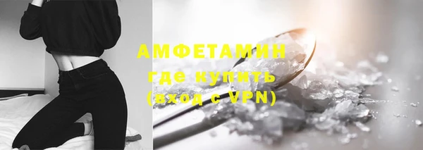 mdpv Бородино
