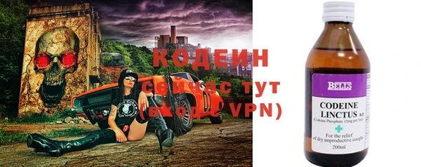 mdpv Бородино