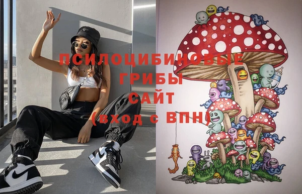 шишки Бугульма
